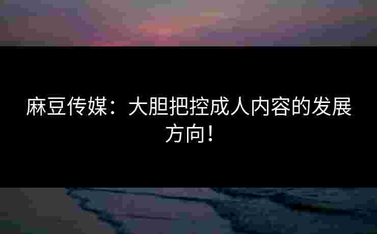 麻豆传媒：大胆把控成人内容的发展方向！