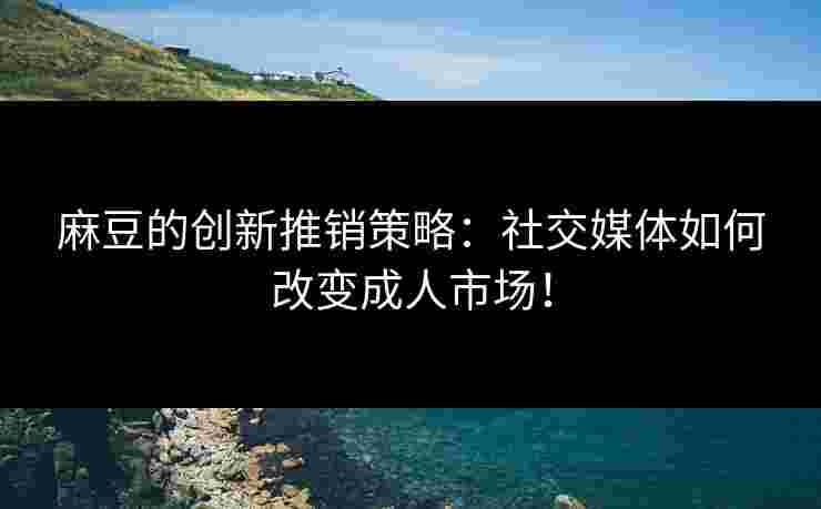 麻豆的创新推销策略：社交媒体如何改变成人市场！