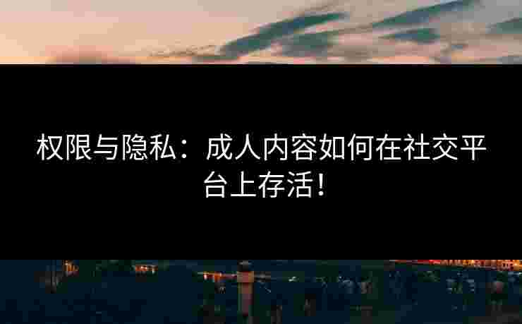 权限与隐私:成人内容如何在社交平台上存活! 权限与隐私:成人内容如何在社交平台上存活!